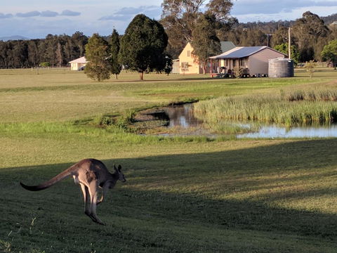 Madigan Wine Country Cottages - Accommodation Brunswick Heads 6