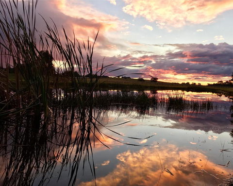 Madigan Wine Country Cottages - Accommodation Brunswick Heads 16
