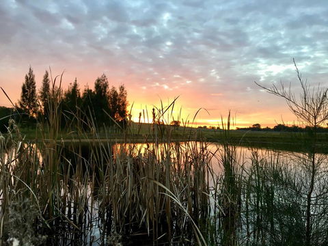 Madigan Wine Country Cottages - Accommodation Brunswick Heads 14