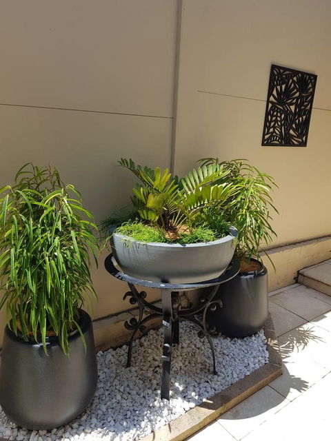 Private Room - Luxury Mosman Home - Accommodation Brunswick Heads 33