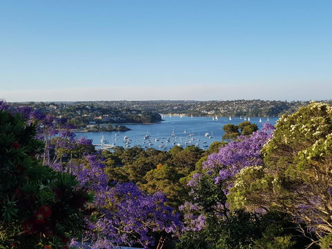 Private Room - Luxury Mosman Home - Accommodation Brunswick Heads 1