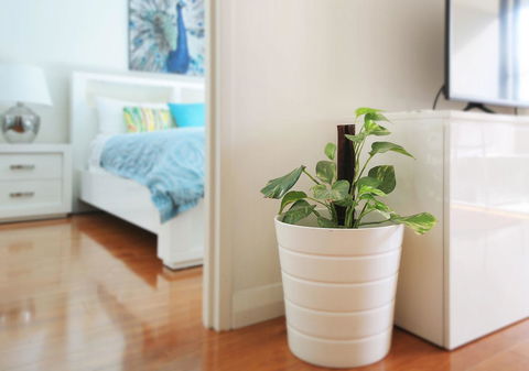 Sydney Apartment Close To Airport & CBD - Accommodation Brunswick Heads 7