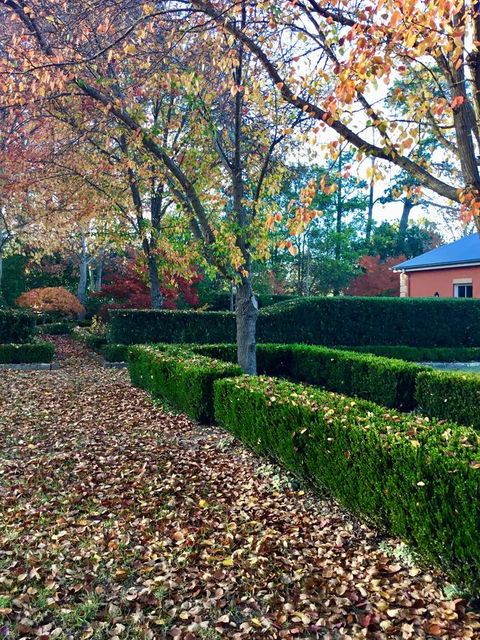 Chanticleer Gardens Barn Cottage With A Pool - Accommodation Brunswick Heads 37