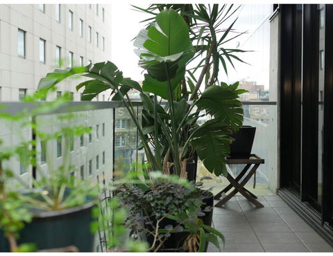 Urban Loft Close To Sydney Hot Spots - Accommodation Brunswick Heads 11