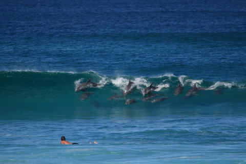 Glen Villa Resort - Accommodation Brunswick Heads 18
