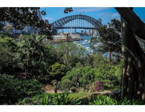North Sydney Historic Whalers Cottage - Accommodation Brunswick Heads 12