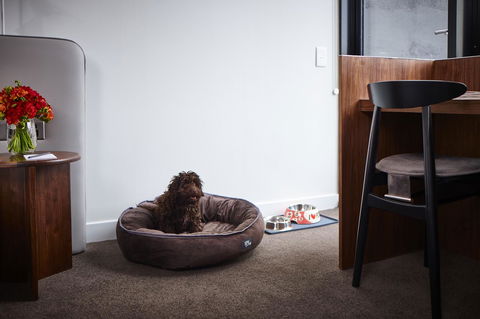 Hotel Indigo Sydney Potts Point, An IHG Hotel - Accommodation Brunswick Heads 29