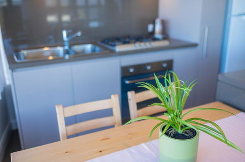 Australian Tower Stay - Accommodation Brunswick Heads 18