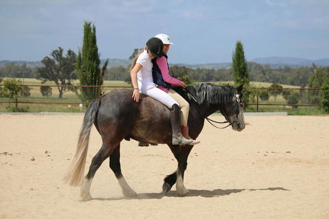 Belisi Farmstay Cottage - Accommodation Brunswick Heads 28