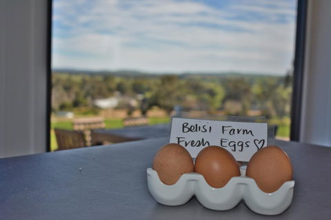 Belisi Farmstay Cottage - Accommodation Brunswick Heads 20