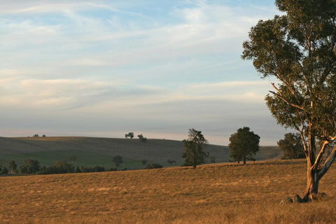 Belisi Farmstay Cottage - Accommodation Brunswick Heads 33