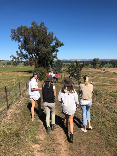 Belisi Farmstay Cottage - Accommodation Brunswick Heads 7