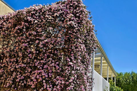 Bundanoon Lodge - Accommodation Brunswick Heads 13