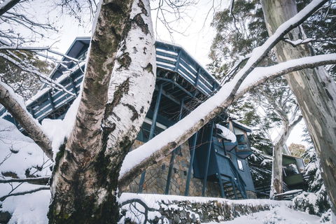 Pure Chalet Thredbo - Accommodation Brunswick Heads 21