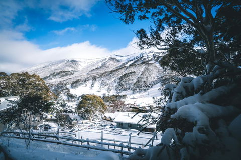 Pure Chalet Thredbo - Accommodation Brunswick Heads 31