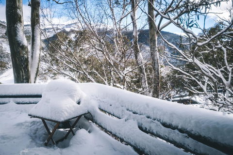 Pure Chalet Thredbo - Accommodation Brunswick Heads 19