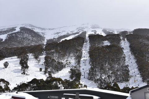 Pure Chalet Thredbo - Accommodation Brunswick Heads 6