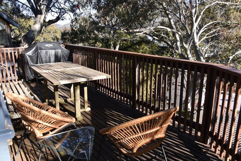 Pure Chalet Thredbo - Accommodation Brunswick Heads 1