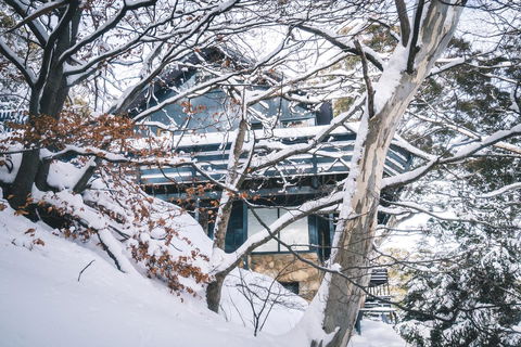 Pure Chalet Thredbo - Accommodation Brunswick Heads 27