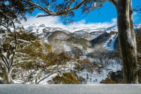 Pure Chalet Thredbo - Accommodation Brunswick Heads 17