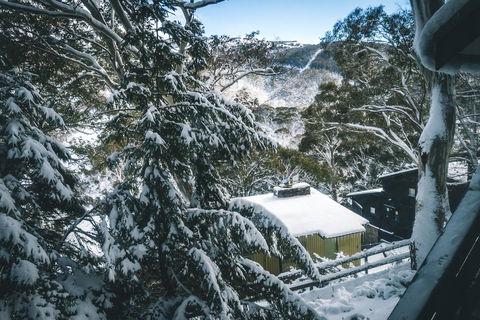Pure Chalet Thredbo - Accommodation Brunswick Heads 34
