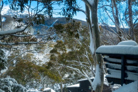Pure Chalet Thredbo - Accommodation Brunswick Heads 30