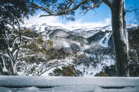 Pure Chalet Thredbo - Accommodation Brunswick Heads 2