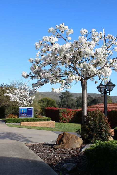 Hume Country Motor Inn - Accommodation Brunswick Heads 0