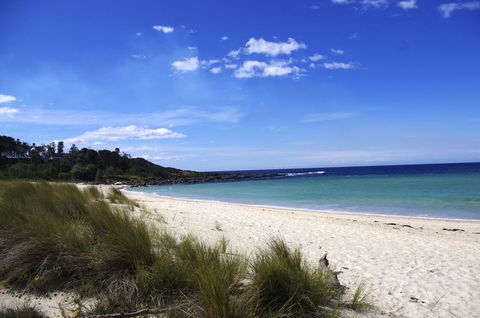 Jackson Ranch By Bannisters - Accommodation Brunswick Heads 32