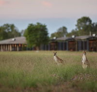 Wildman Wilderness Lodge - Accommodation Brunswick Heads