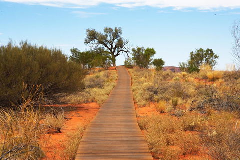 Discovery Resorts - Kings Canyon - Accommodation Brunswick Heads 27