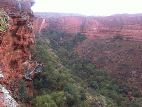 Discovery Resorts - Kings Canyon - Accommodation Brunswick Heads 34