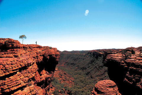 Discovery Resorts - Kings Canyon - Accommodation Brunswick Heads 38