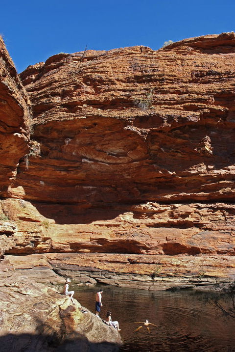 Discovery Resorts - Kings Canyon - Accommodation Brunswick Heads 44