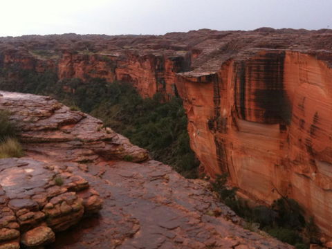 Discovery Resorts - Kings Canyon - Accommodation Brunswick Heads 35