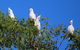 Aurora Kakadu Lodge - thumb 9
