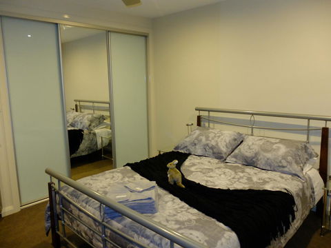 Rock Wallaby - Accommodation Brunswick Heads 14