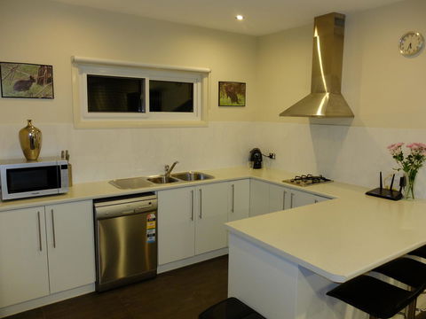 Rock Wallaby - Accommodation Brunswick Heads 12
