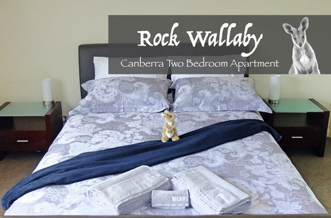 Rock Wallaby - Accommodation Brunswick Heads 4