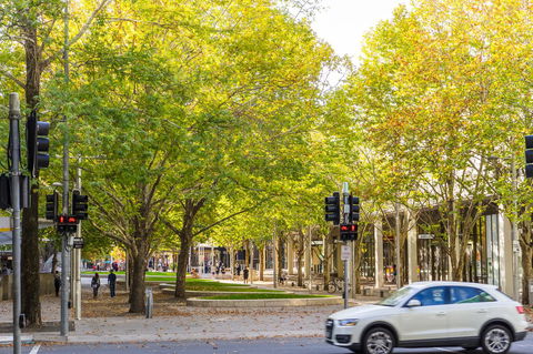 Highgate Executive Apartment City Walk Canberra - Accommodation Brunswick Heads 37