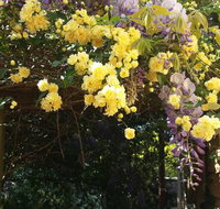 Bowral Road Bed and Breakfast - Accommodation Brunswick Heads