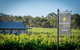 Brockenchack Vineyard Bed & Breakfast - thumb 2
