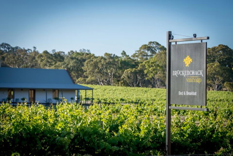 Brockenchack Vineyard Bed & Breakfast - Accommodation Brunswick Heads 2