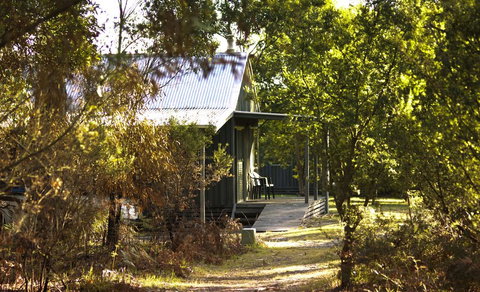Brodribb River Rainforest Cabins - Cabin 1 - Accommodation Brunswick Heads 2