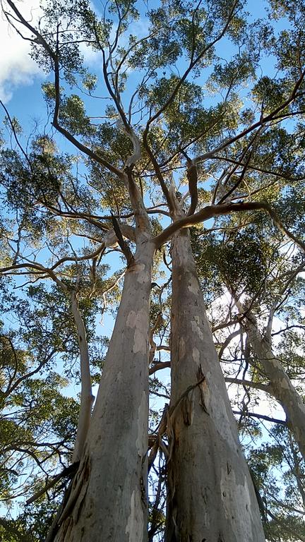 Broxholme B&B - Accommodation Brunswick Heads 3