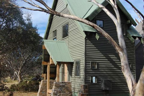 Buffalo - Accommodation Brunswick Heads 0