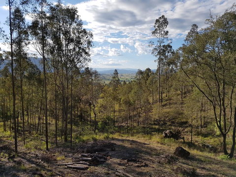 Bundera Lodge - Accommodation Brunswick Heads 2