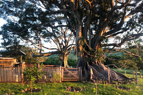 BYRON BAY'S HISTORIC BARNSTAY! - Accommodation Brunswick Heads 2