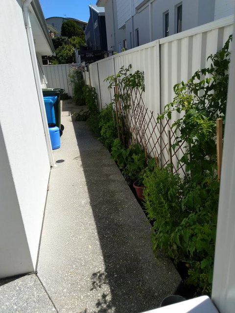 C'est La Vie - Accommodation Brunswick Heads 2