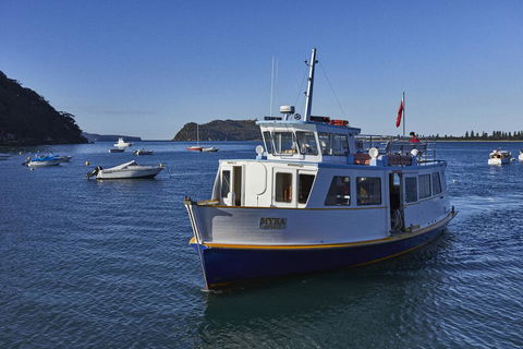 Cape Mackerel Cabin With Magic Palm Beach & Pittwater Views - Accommodation Brunswick Heads 2